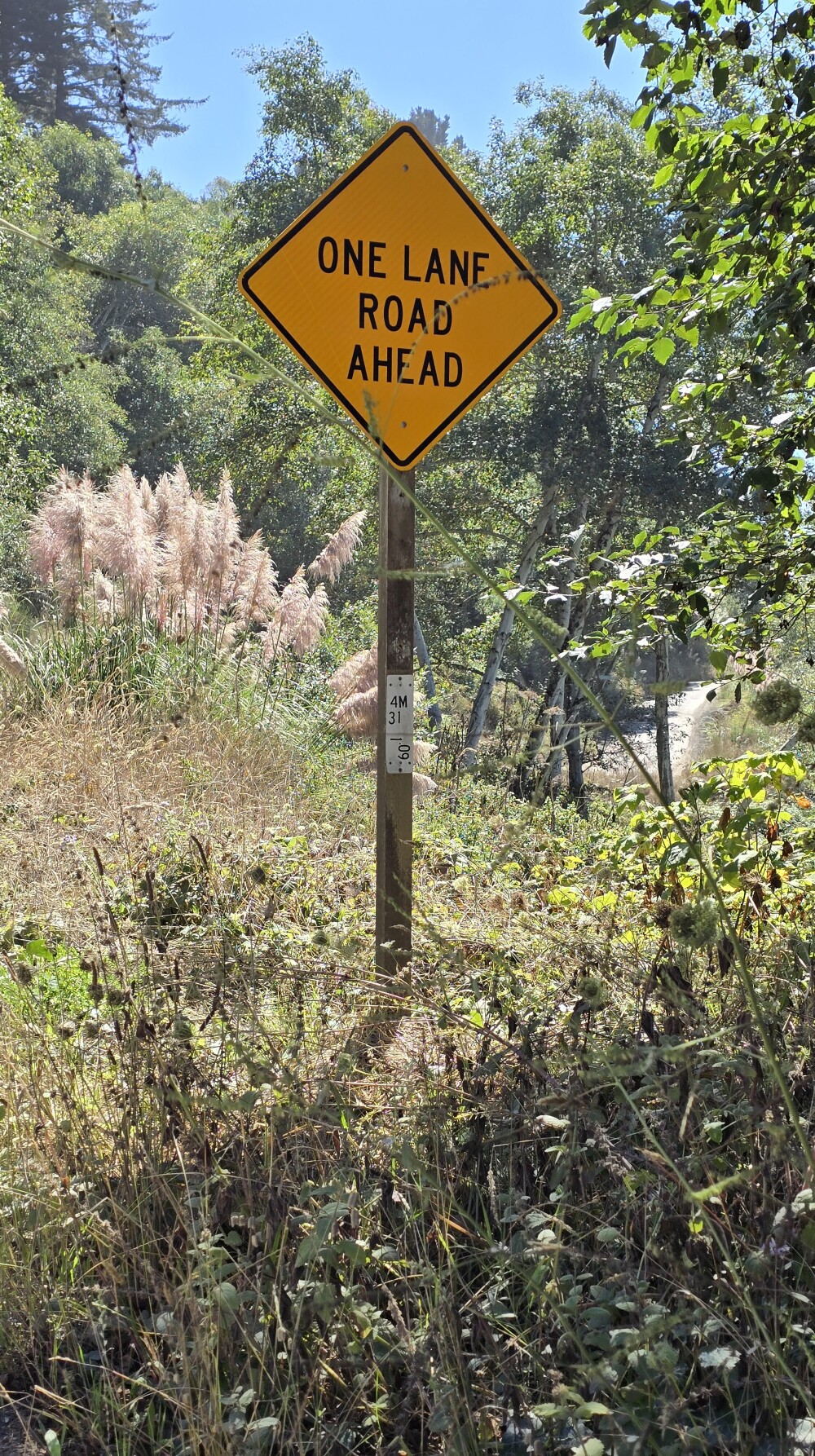 One of many such signs on this roads