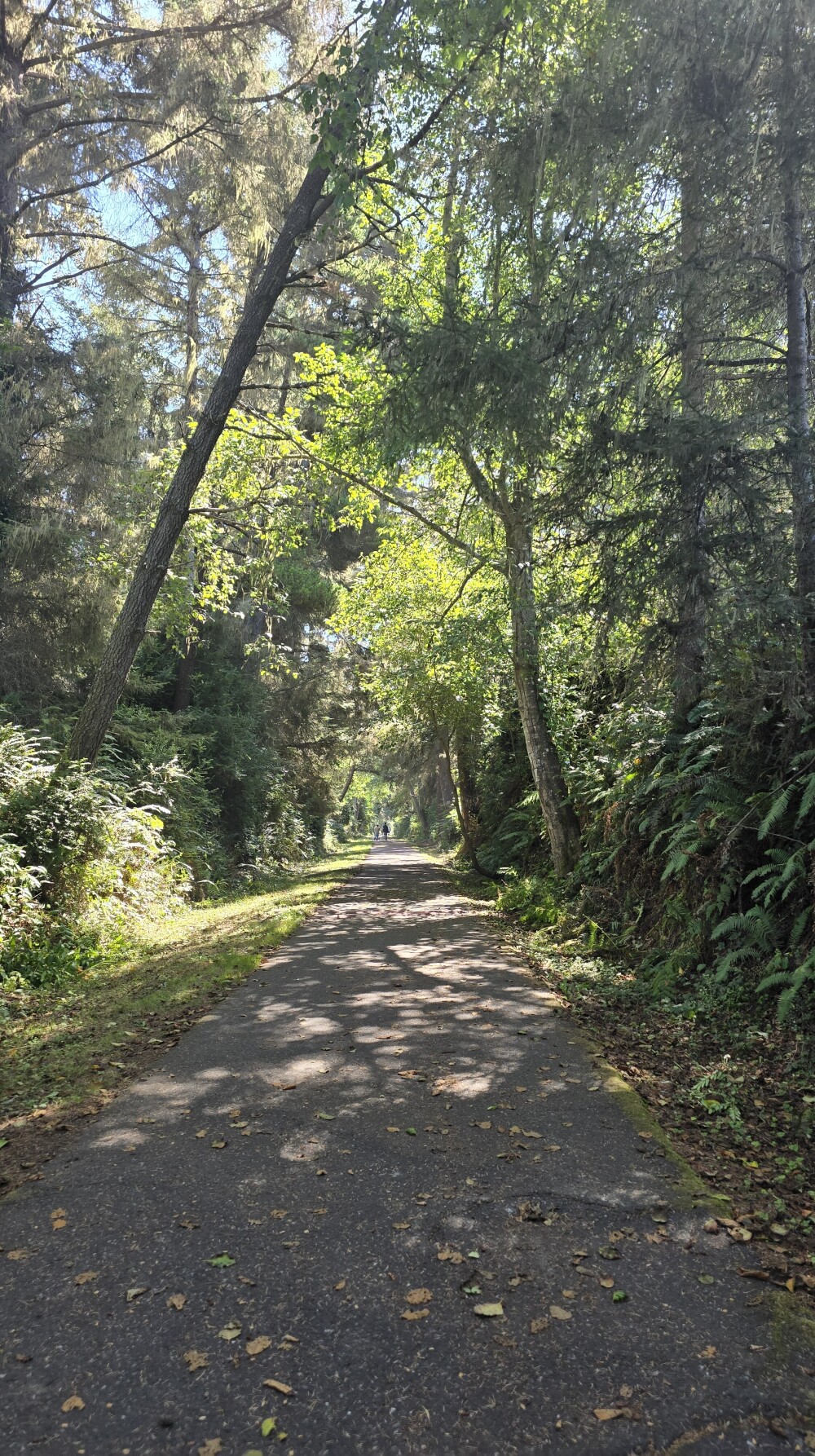 Multi-use Hammond Trail