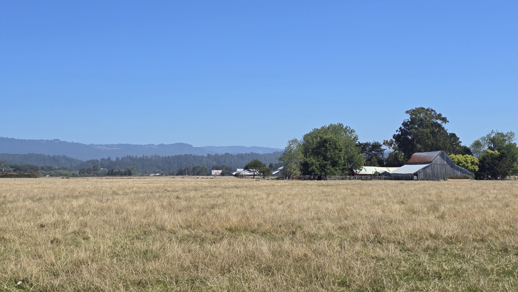 Farmland near Arcata