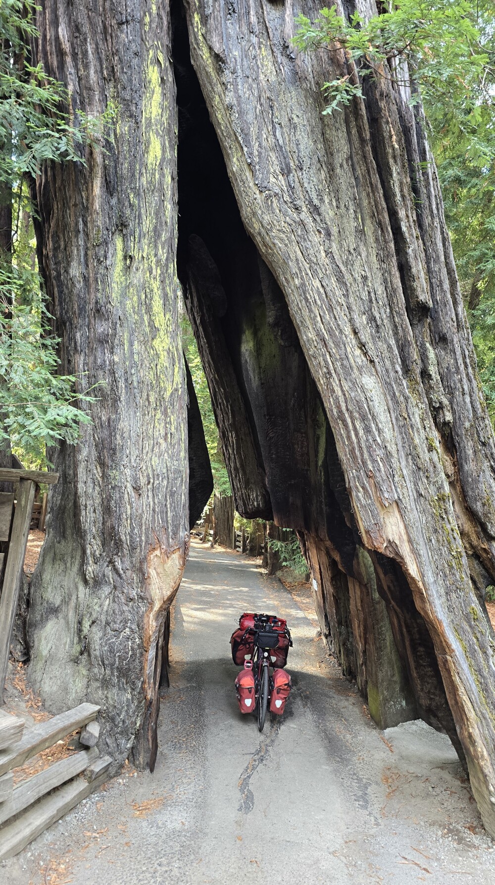 I couldn't find anyone to take my picture, so just imagine me on my bike!