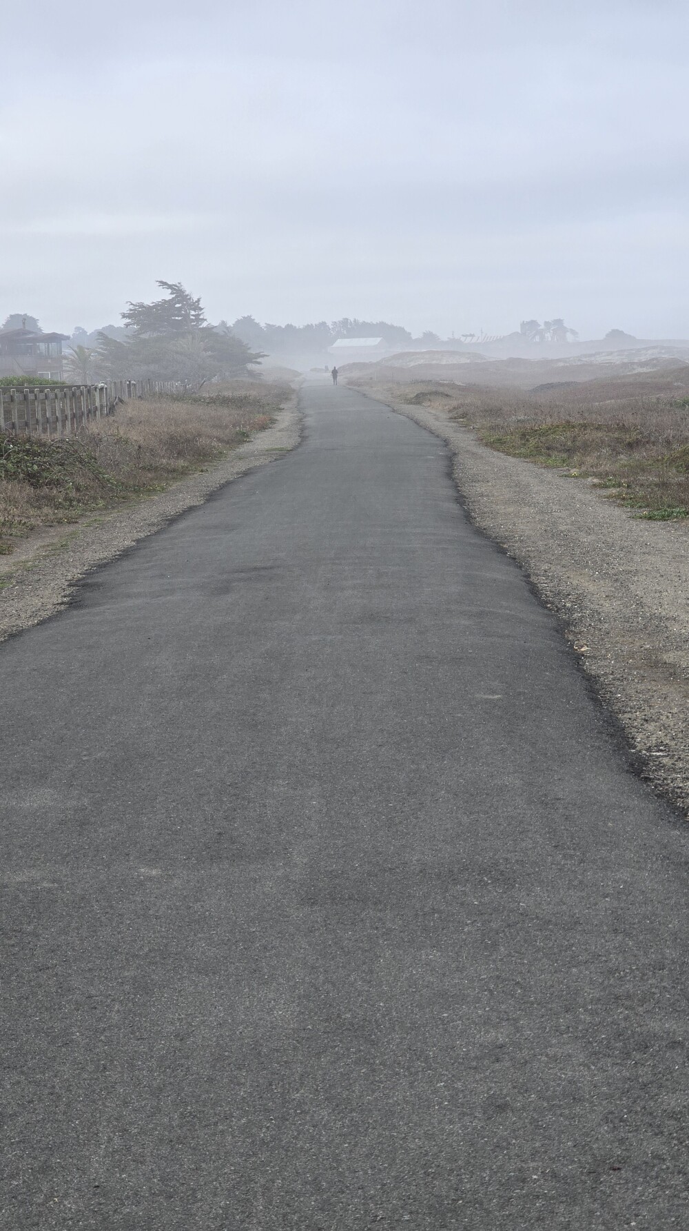 The trail heading into Fort Bragg