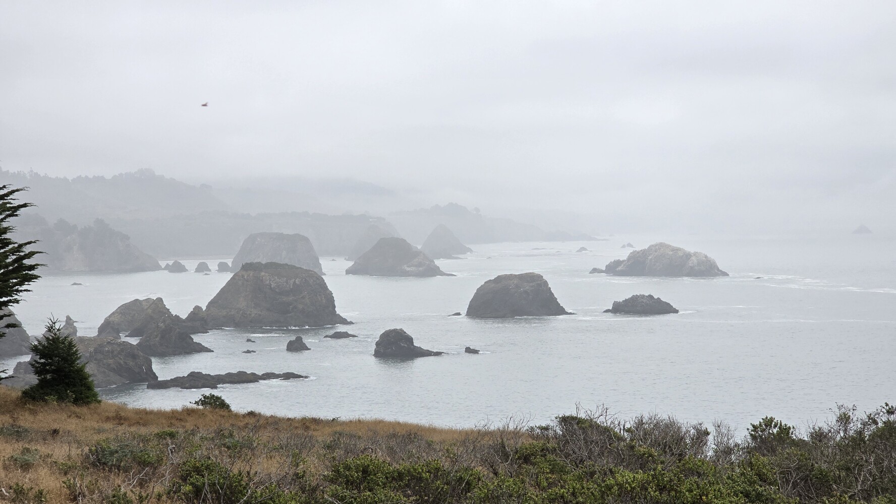 Looking north at Cuffrey's Cove