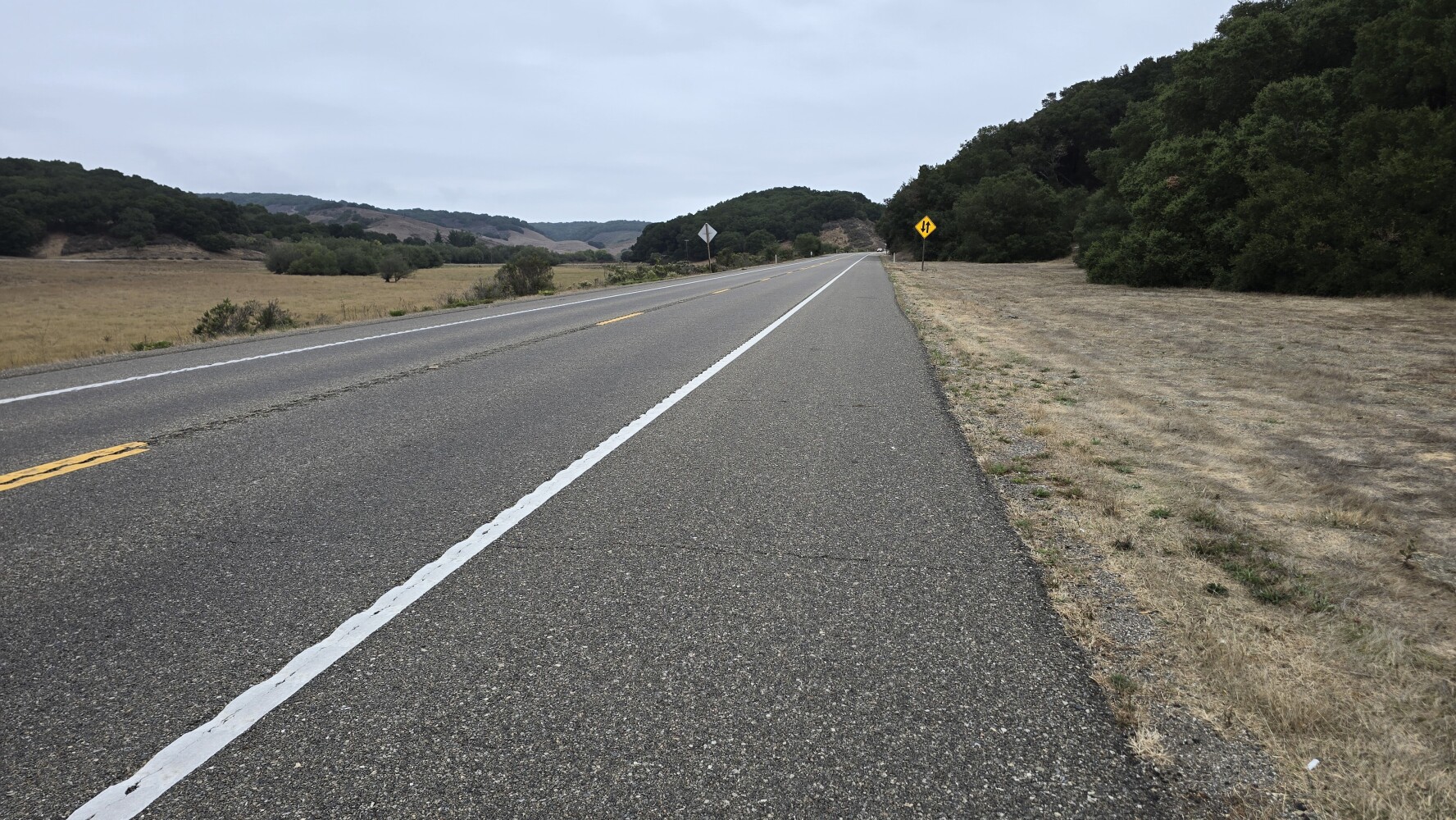 Awesome wide shoulder!