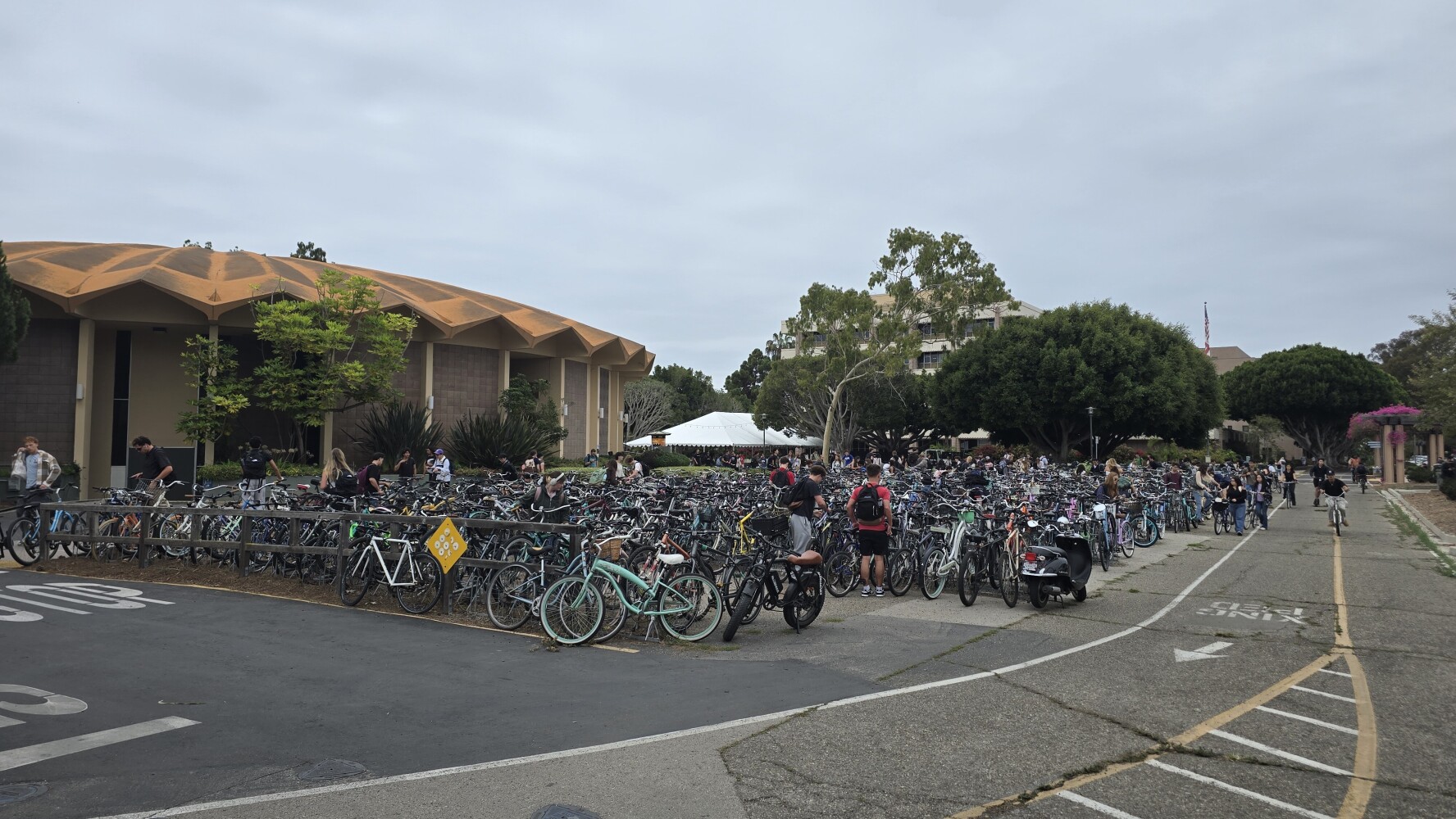 Bike parking at UCSB