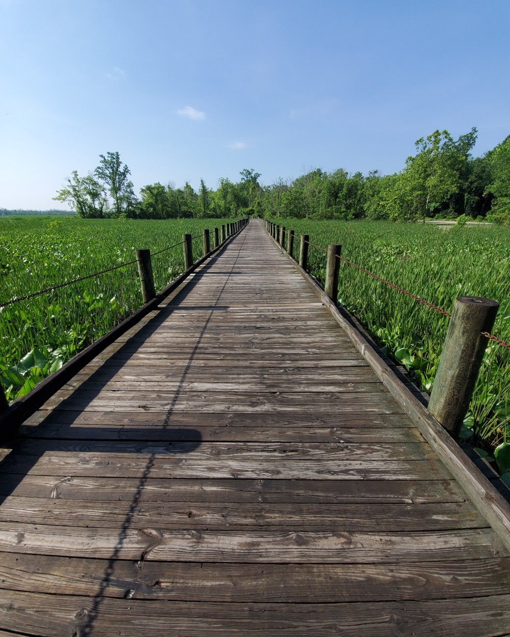Gorgeous trail!