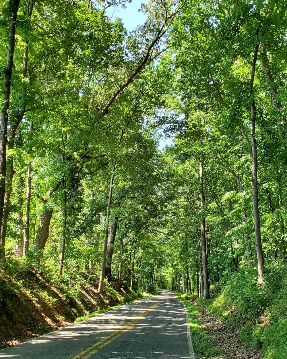 Willis Church Road