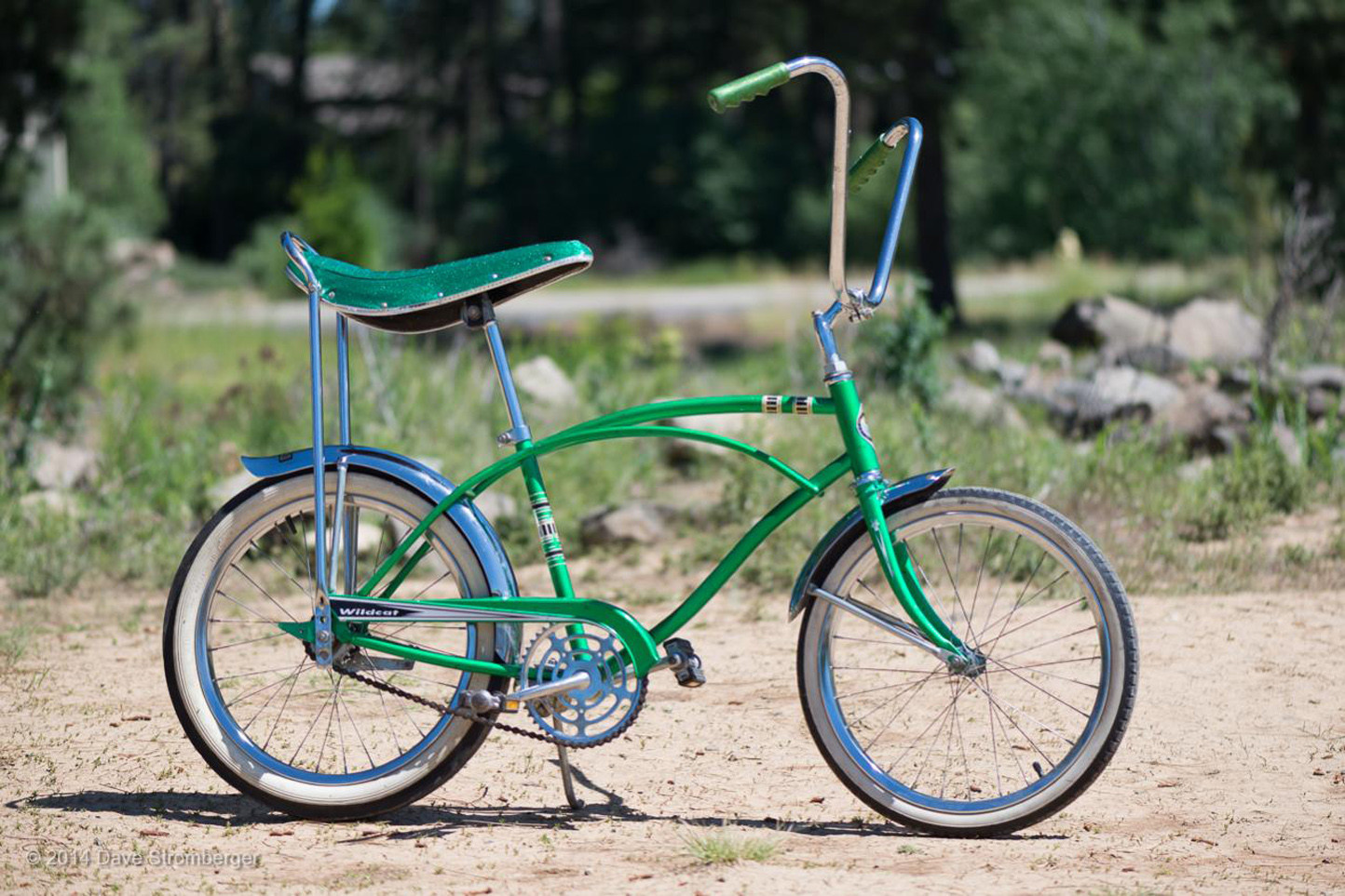 1960s Murray Wildcat bicycle. Mine was brown.